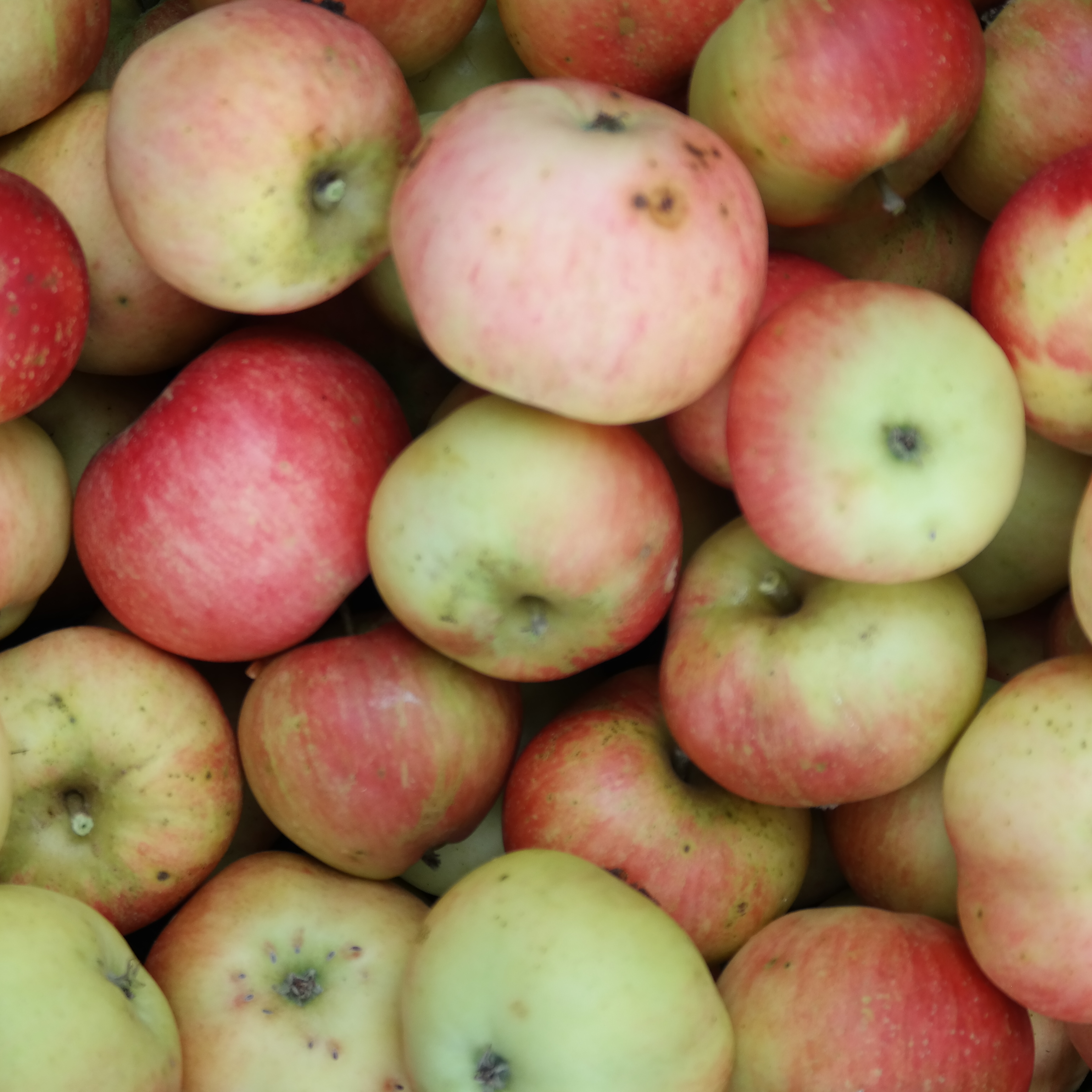 Cultures Collective team